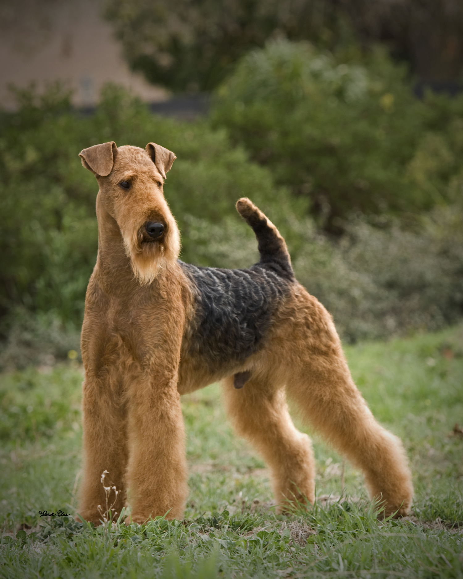 jaxson-high-resolution-Copy.jpg