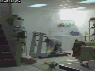 016.gif