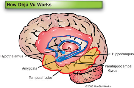 deja-vu-brain.jpg