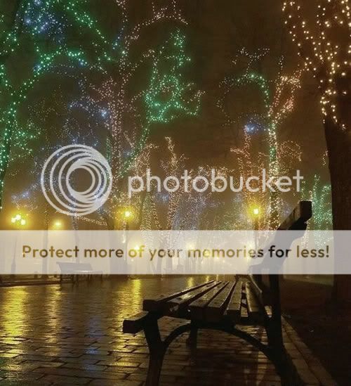 36XmasLightsandFogareAwesome.jpg