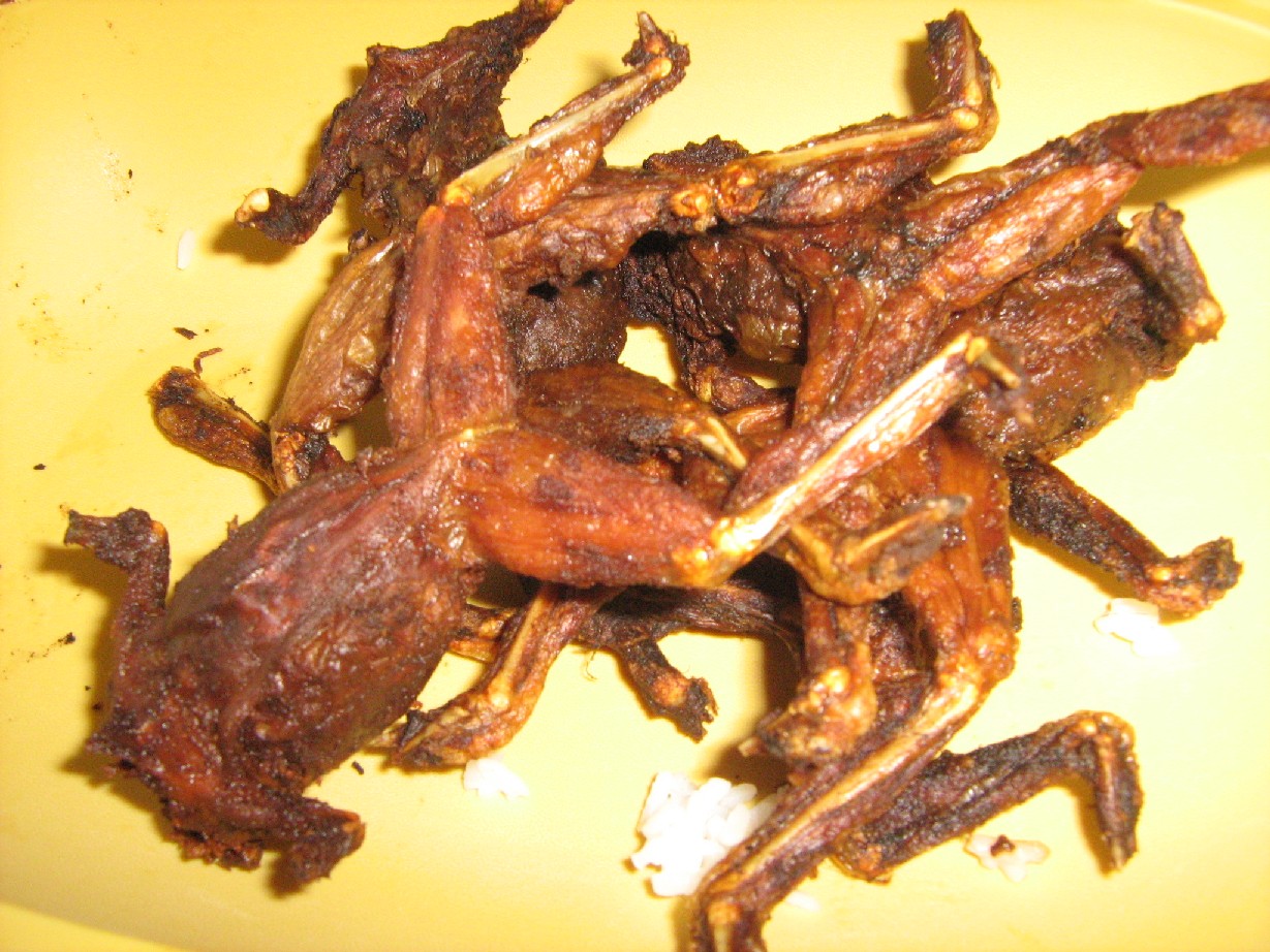 fried-frog.jpg