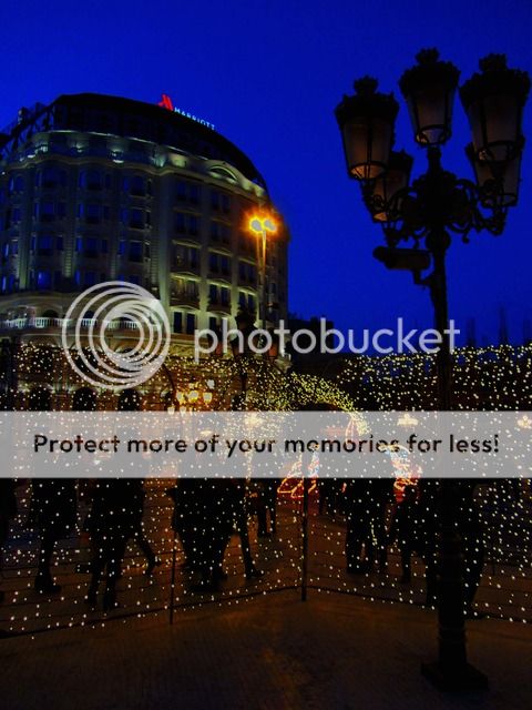 IMG_3480_zpsfvfgr6tm.jpg