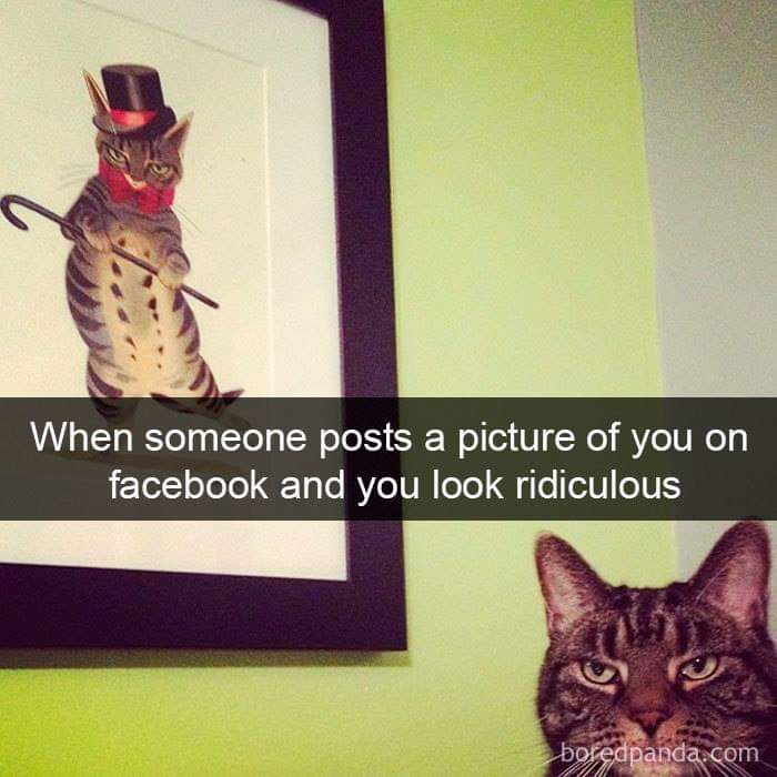 FB_IMG_1554837871139.jpg