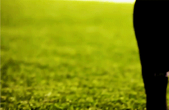tumblr_mkisj8474x1s1bu84o7_250.gif