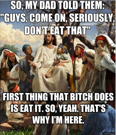 tumblr_m56obqBSdp1r8z85zo1_500.jpg