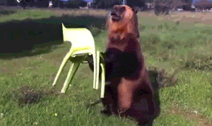 RSwQDI3.gif