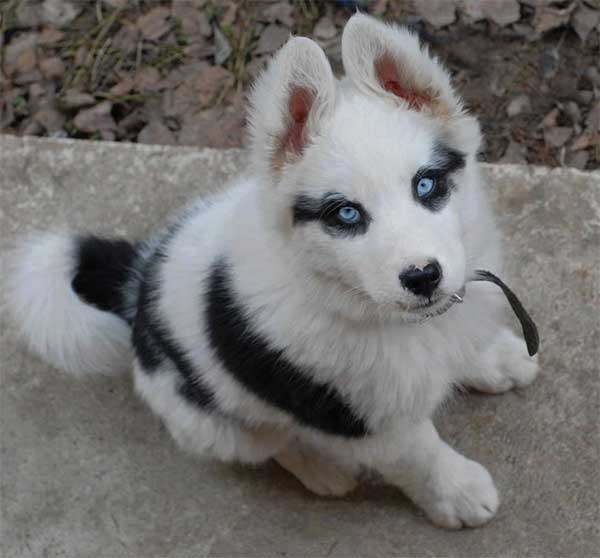 markings-32.jpg