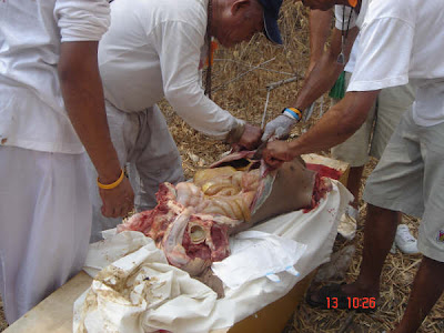 pic20084.jpg