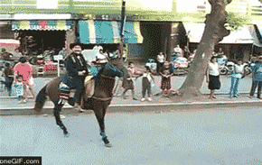 BWIjo.gif