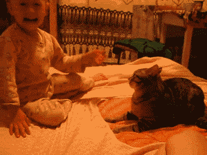 tumblr_meou1aLB591rvryvbo1_400.gif