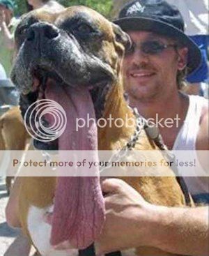 long-dog-tongue.jpg