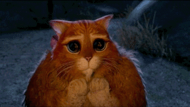 tumblr_mepmbi9UUy1qhadn8o1_400.gif