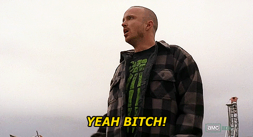 tumblr_msblykaMRu1qgl8fqo1_500.gif