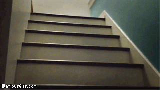 daily_gifdump_694_08.gif