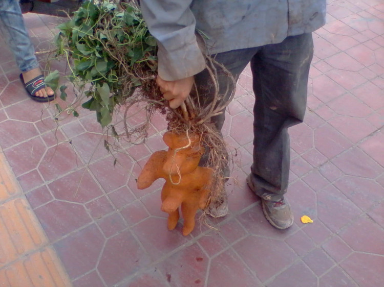 0_5d59c_3189b2a3_orig