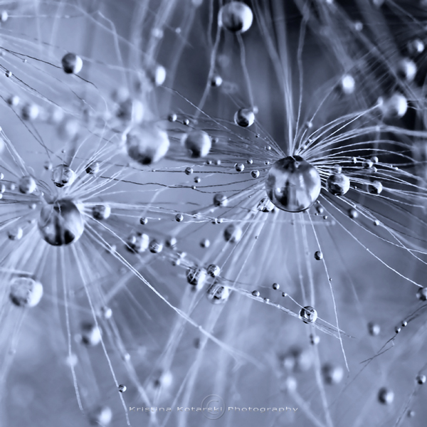 1be9f4a794fad0399d827adcb23986b6.jpg