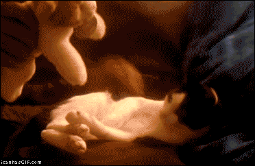 tumblr_mo8l2daNB41sum3tgo1_400.gif
