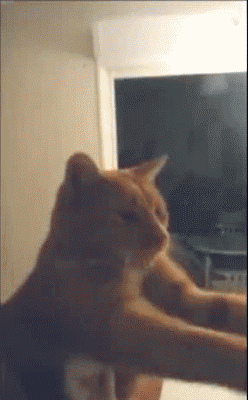 daily_gifdump_525_15.gif