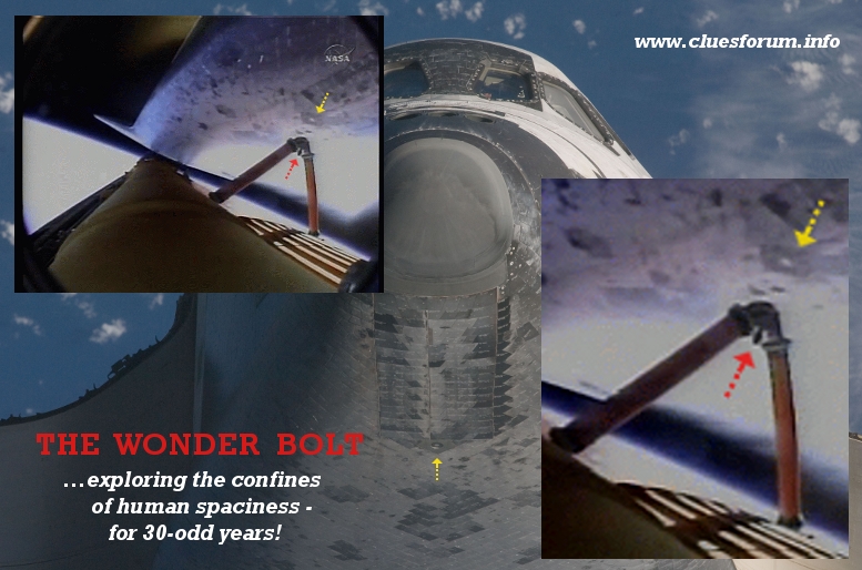THE__WONDER_BOLT1.jpg