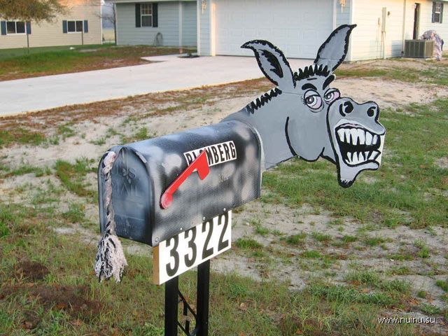 1217440708_meanmule.jpg