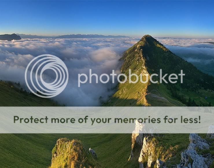 61684709.jpg