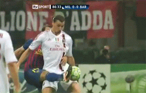 tumblr_m1mrx8FjKs1r1ajr6o1_400.gif