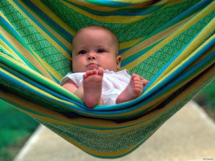 5350788_baby.jpg