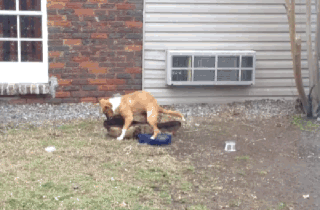 rhJJbcg.gif