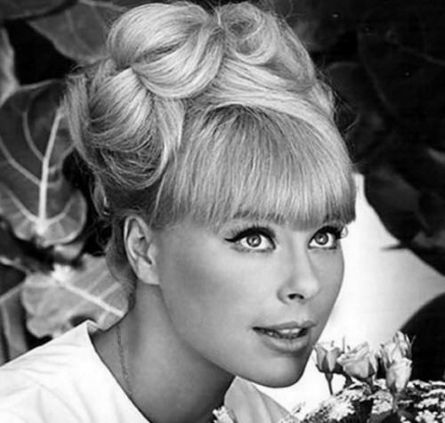 Beautiful-German-actress-Elke-Sommer-2-500x475.jpg