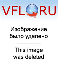 8418370.jpg