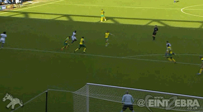 10117860155_99bdf51359_o.gif