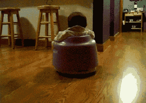 tumblr_ljvb738lNr1qbfnhro1_400.gif