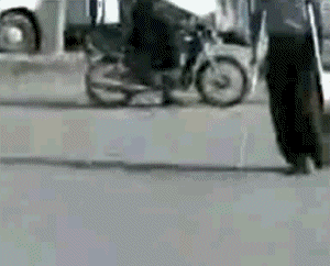 1274772593_01.gif