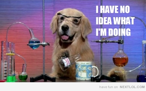12968-i-have-no-idea-what-im-doing.jpeg