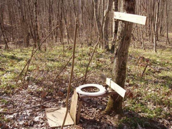 wc-793351.jpg
