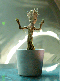 tumblr_nag160FC5v1qb70nio1_250.gif