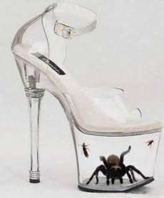 36390,xcitefun-5tarantula-in-freaky-shoes.jpeg