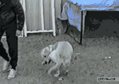 VUfTI.gif