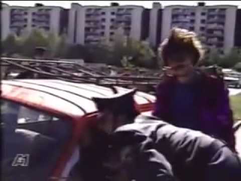 youtu.be