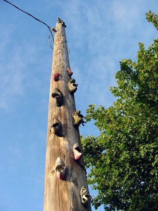 acid_picdump_43.jpg