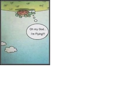 normal_turtle.JPG