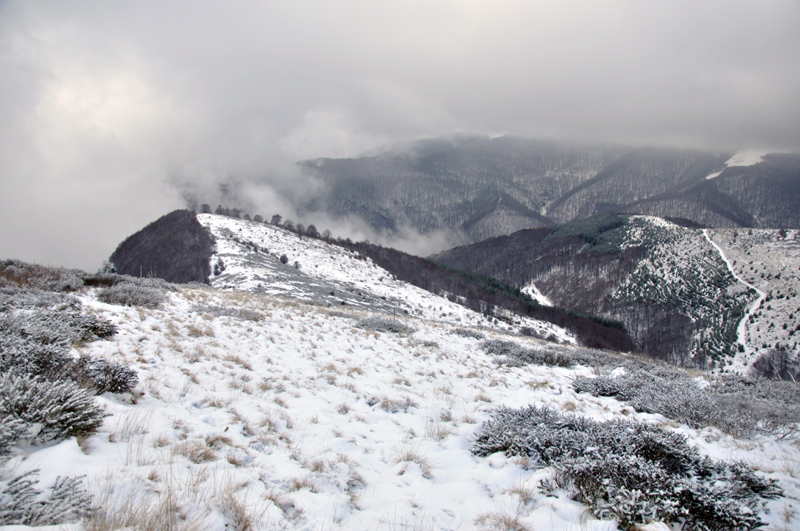 Img-008.jpg