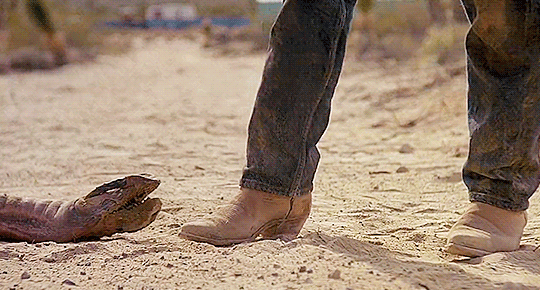 tumblr_olwhvcKN6I1ut1d6co1_540.gif