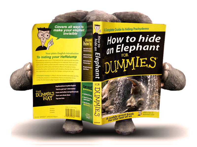 hide-an-elephant-for-dummies.jpg