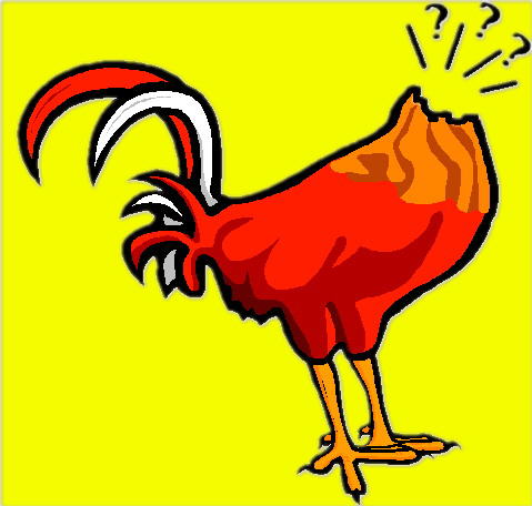 headless-chicken.jpg