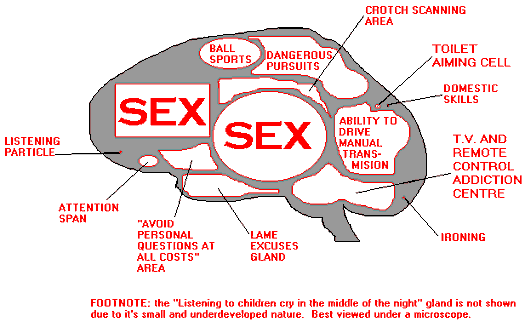 BrainMens.gif