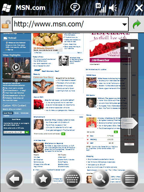 ie-browser.gif