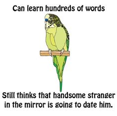 3b89df906d77c383d9c9b63db7ab687c.jpg