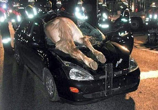 accident_10.jpg