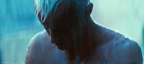 doCSmyM.gif